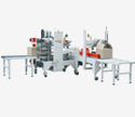 Sandard Case Sealer + Carton Edge Sealing Machine
